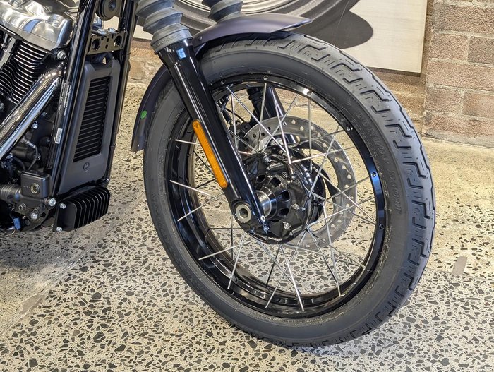 2025 Harley-Davidson Street Bob 117 (FXBB) Softail Purple