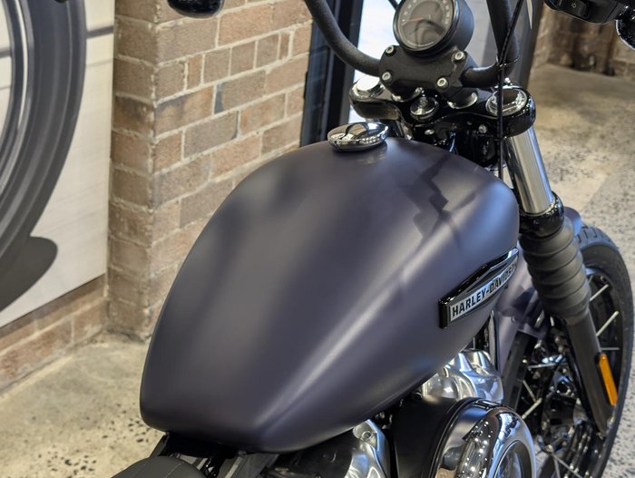 2025 Harley-Davidson Street Bob 117 (FXBB) Softail Purple