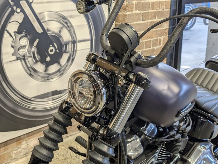 2025 Harley-Davidson Street Bob 117 (FXBB) Softail Purple