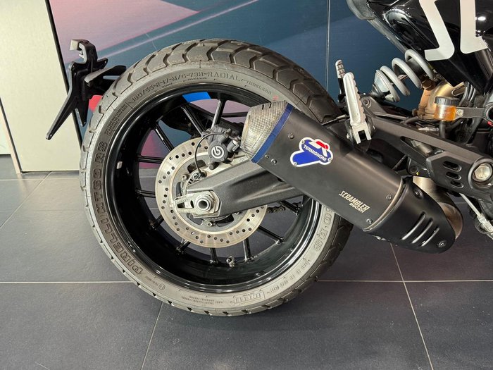 2024 Ducati Scrambler ICON Scrambler Blue