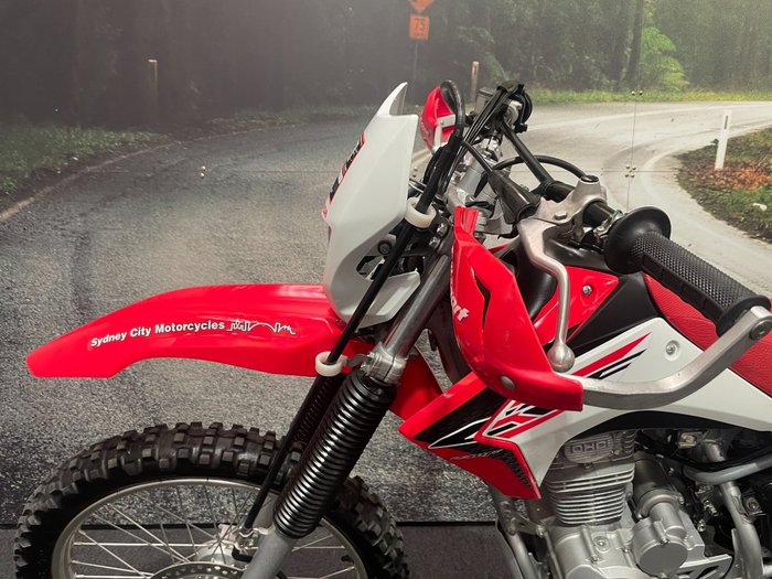 2019 Honda CRF230F White