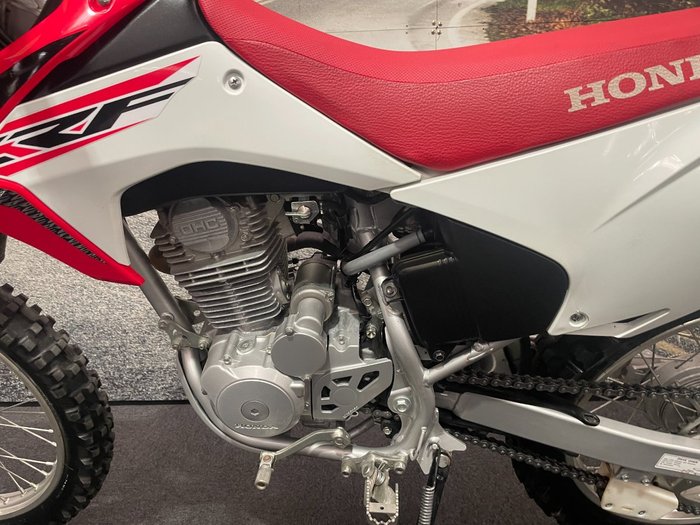 2019 Honda CRF230F White