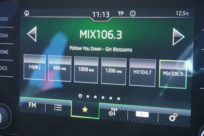 2020 SKODA Karoq 110TSI