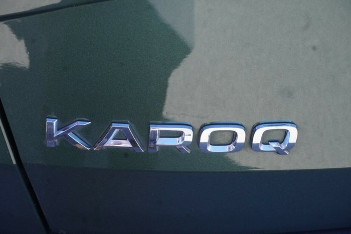 2020 SKODA Karoq 110TSI