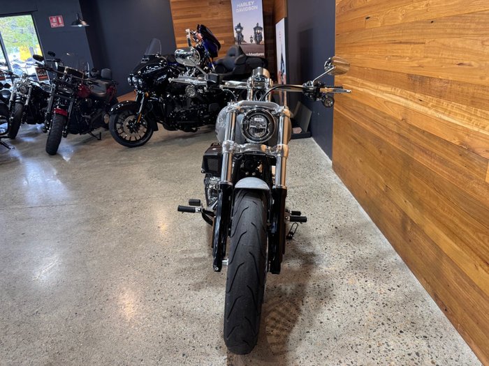 2025 Harley-davidson FXBR BREAKOUT (117) Billiard Gray