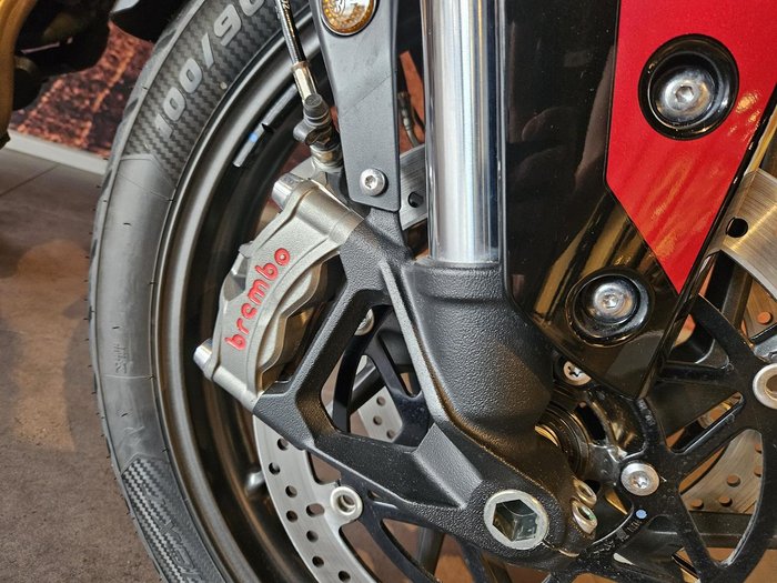 2025 Triumph Tiger 900 GT Pro Tiger Black