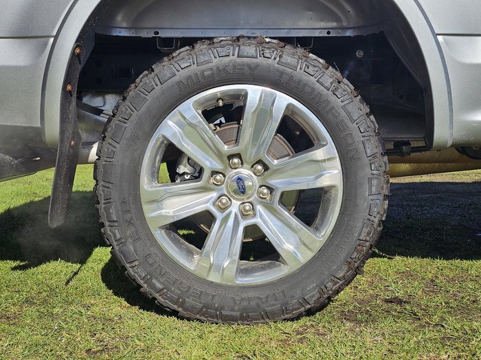 2020 Ford F-150 Platinum (No Series) Silver