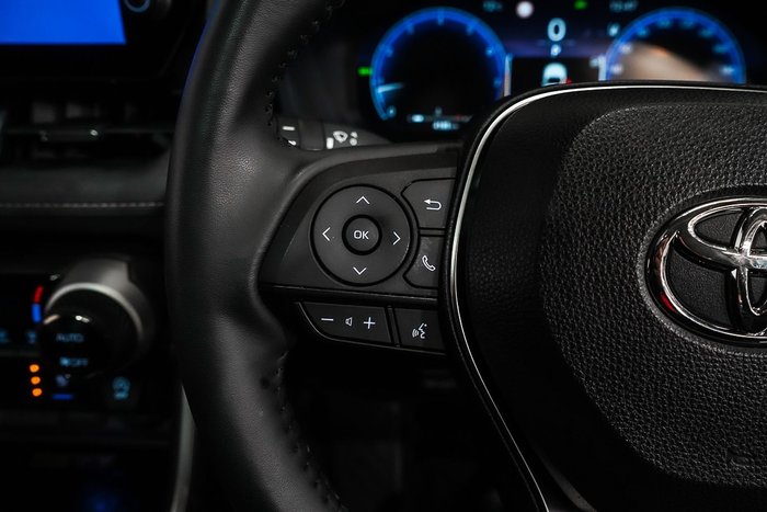 2024 Toyota RAV4 Cruiser