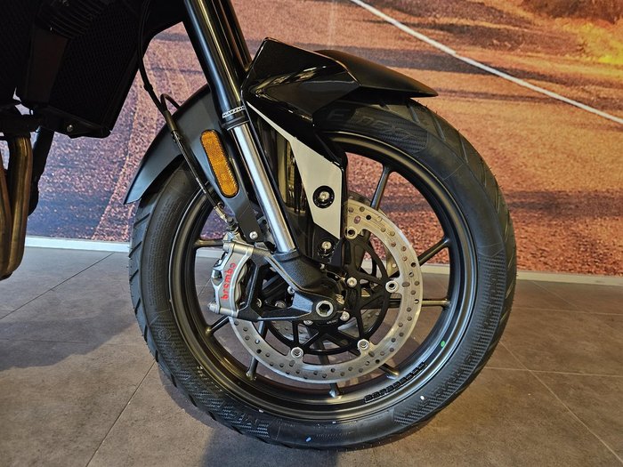 2025 Triumph Tiger 900 GT Pro Tiger Black