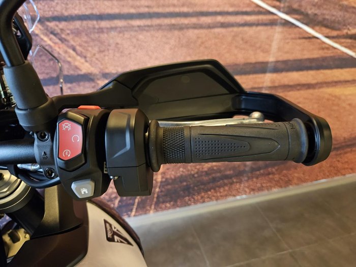 2025 Triumph Tiger 900 GT Pro Tiger Black