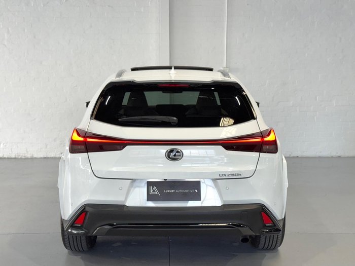 2023 Lexus UX 250h F Sport MZAH15R AWD White Nova