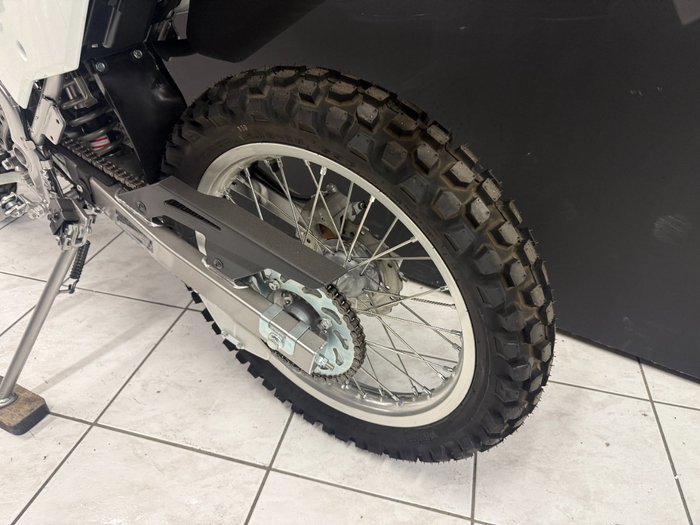 2024 Kawasaki KLX150 Green