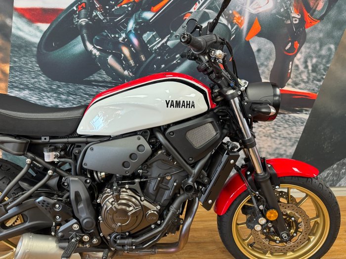 2020 Yamaha XSR700 WHITE/RED