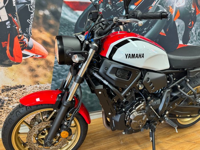 2020 Yamaha XSR700 WHITE/RED