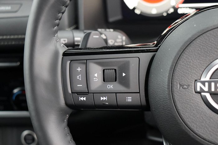 2024 Nissan X-TRAIL N-TREK