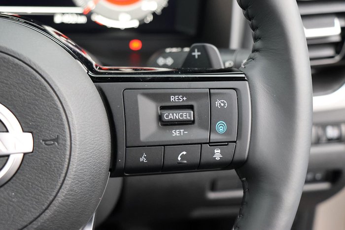 2024 Nissan X-TRAIL N-TREK