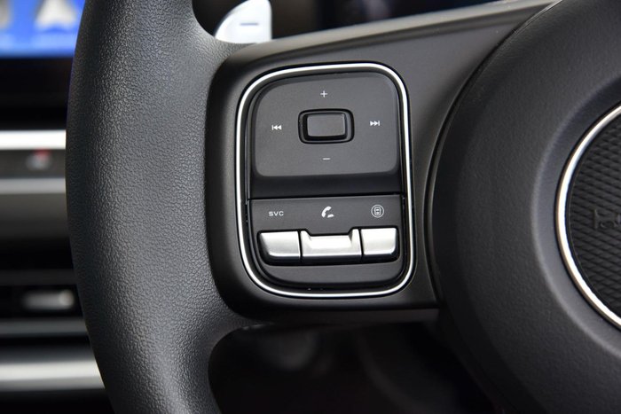 2025 GWM Cannon Premium