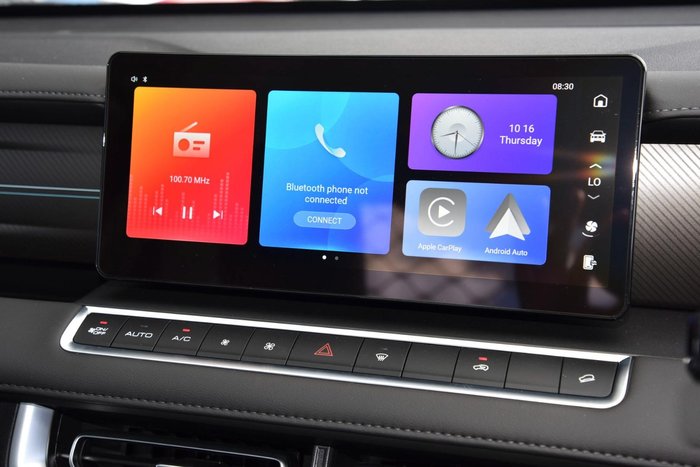 2025 GWM Cannon Premium