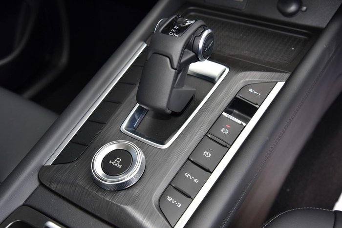 2025 GWM Cannon Premium