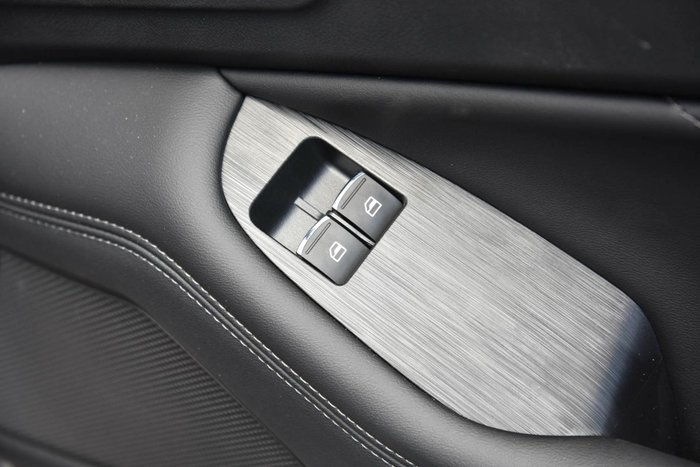 2025 GWM Cannon Premium