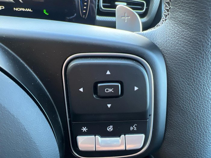 2025 GWM Cannon Ultra