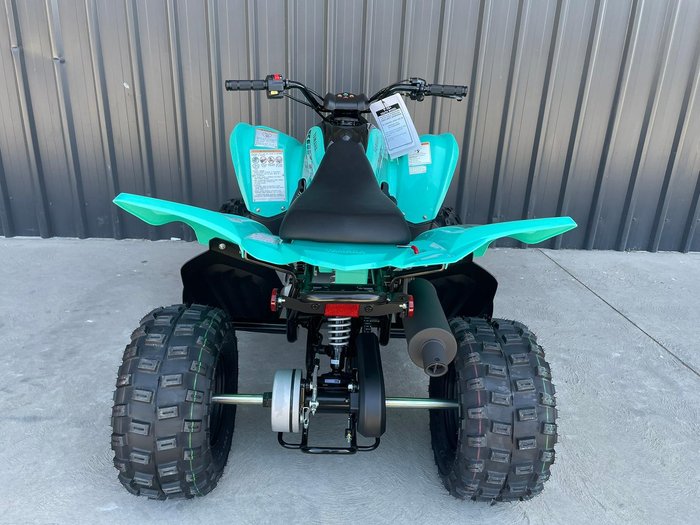 2025 Yamaha Raptor 110 (YFM110R) Raptor