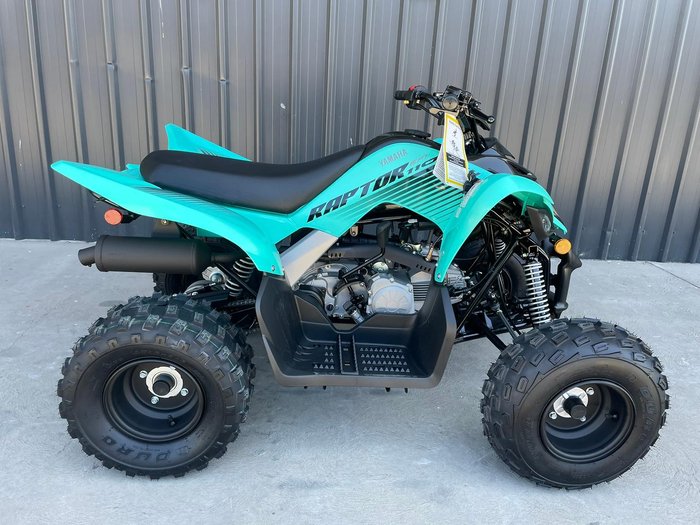 2025 Yamaha Raptor 110 (YFM110R) Raptor