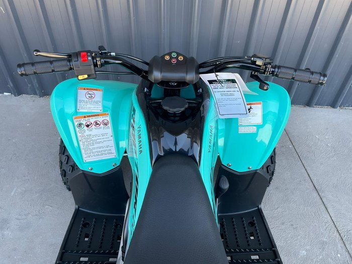 2025 Yamaha Raptor 110 (YFM110R) Raptor