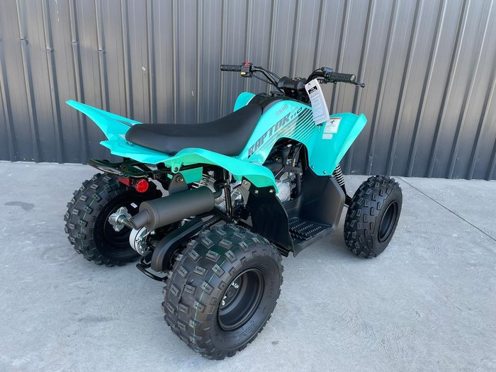2025 Yamaha Raptor 110 (YFM110R) Raptor