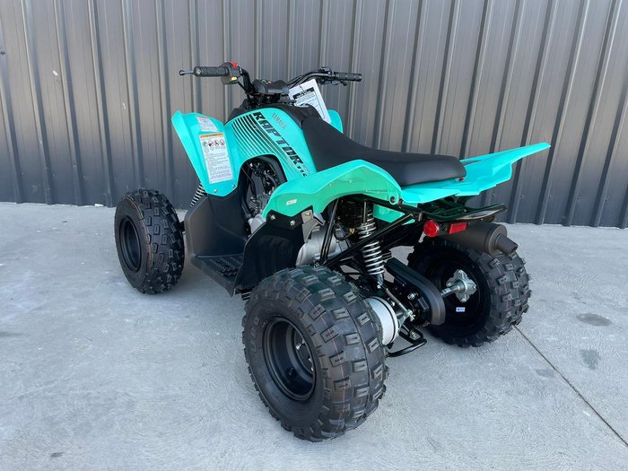 2025 Yamaha Raptor 110 (YFM110R) Raptor