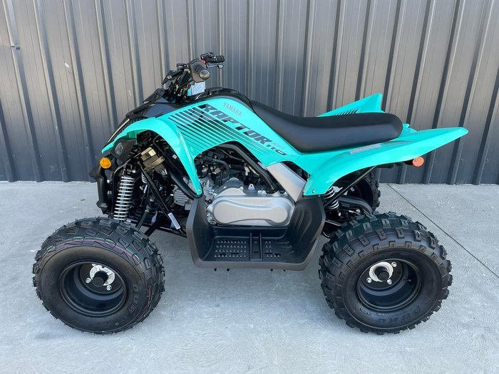 2025 Yamaha Raptor 110 (YFM110R) Raptor