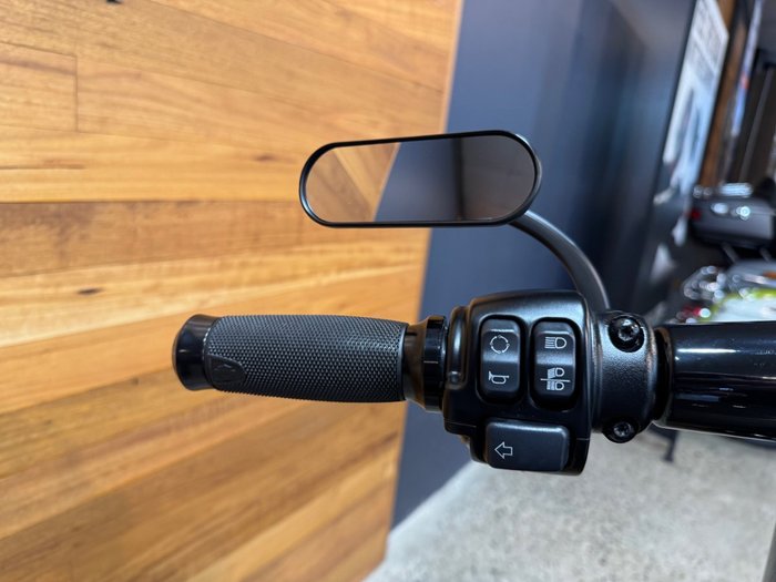 2019 Harley-davidson FXBRS BREAKOUT (114) Gray Haze