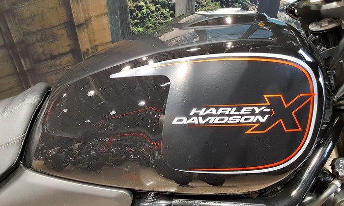 2024 Harley-Davidson X 500 X Black