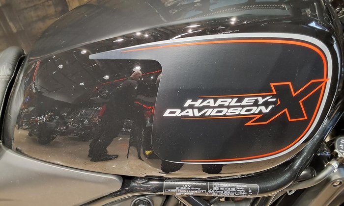 2024 Harley-Davidson X 500 X Black