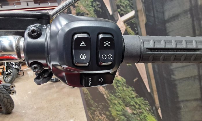 2025 Harley-Davidson Fat Boy 117 (FLFB) Softail