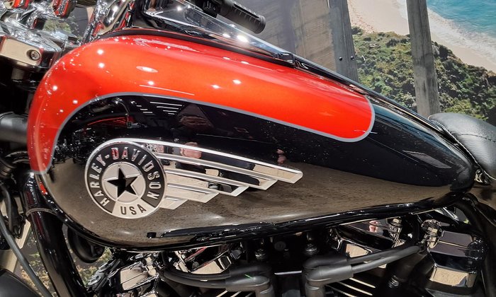 2025 Harley-Davidson Fat Boy 117 (FLFB) Softail