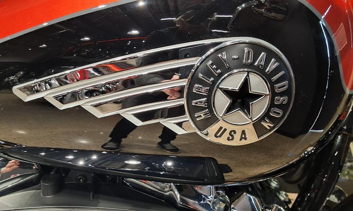 2025 Harley-Davidson Fat Boy 117 (FLFB) Softail