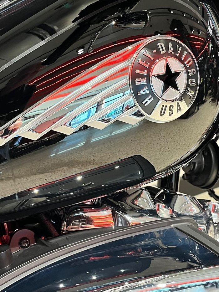 2025 Harley-Davidson Fat Boy 117 (FLFB) Softail Black