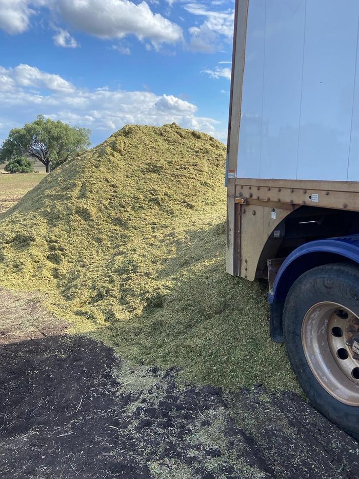 2022 Lusty Pumpa Belt Walking Floor