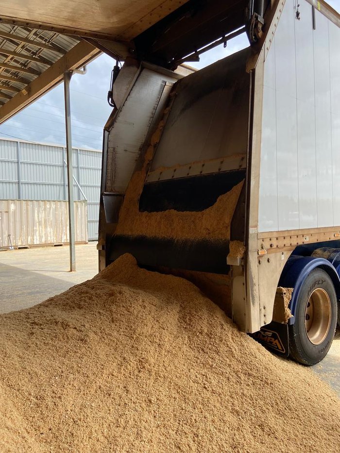 2022 Lusty Pumpa Belt Walking Floor