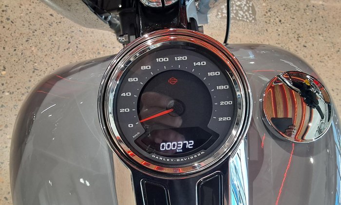 2025 Harley-Davidson Fat Boy 117 (FLFB) Softail