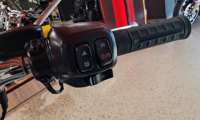 2025 Harley-Davidson Fat Boy 117 (FLFB) Softail