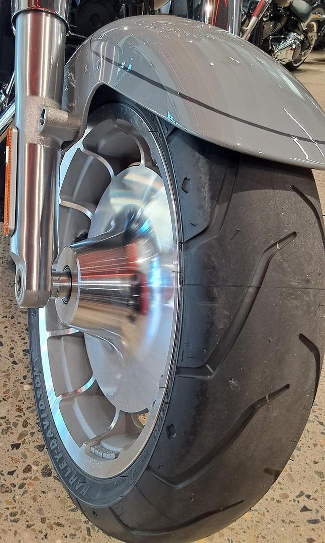 2025 Harley-Davidson Fat Boy 117 (FLFB) Softail