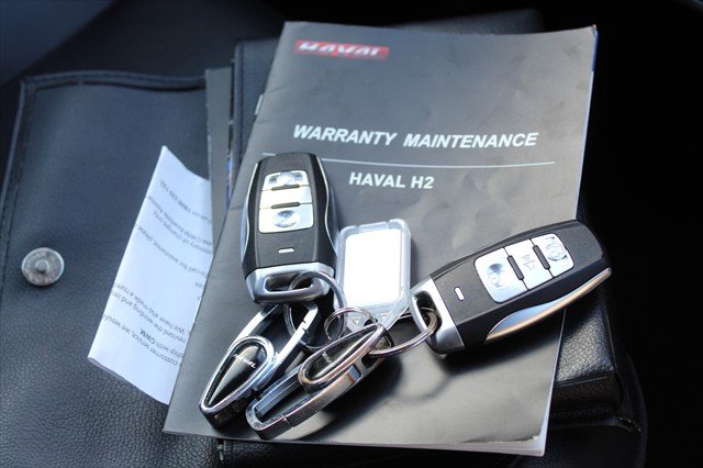 2020 GWM H2 LUXURY H2 2WD Auto LUX 1.5Lt Petrol 20YM Dragon