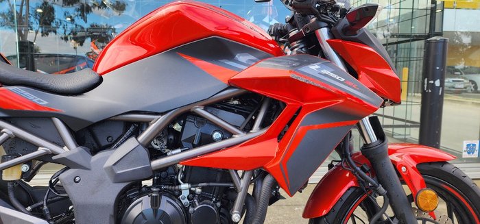 2015 Kawasaki Z250 SL RED