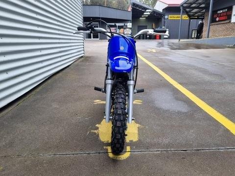 2025 Yamaha PeeWee 50 (PW50) PeeWee Blue