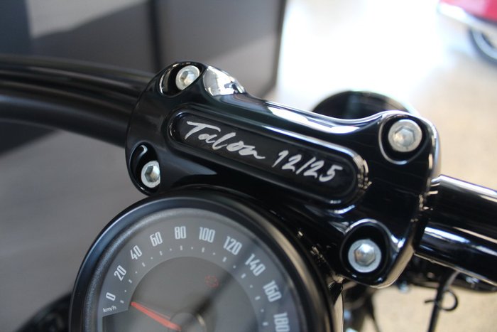 2025 Harley-davidson FXBR BREAKOUT (117) VIVID BLACK