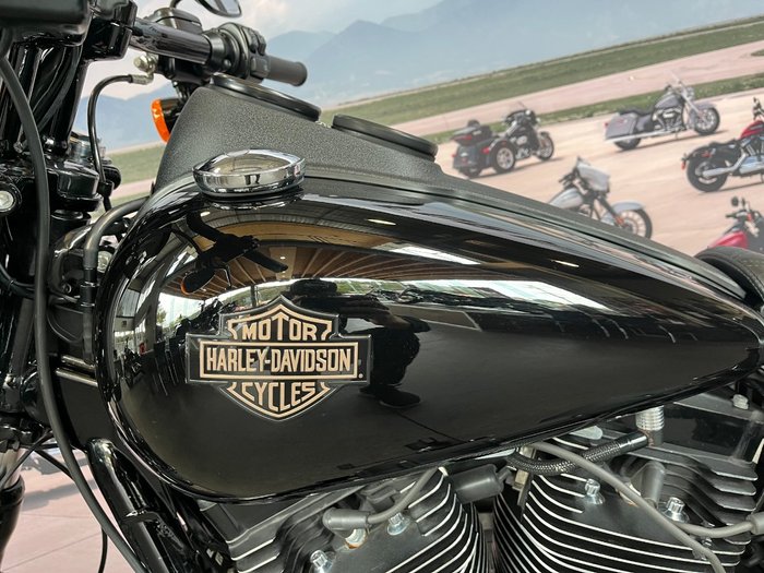 2017 Harley-davidson FXDLS LOW RIDER S Black