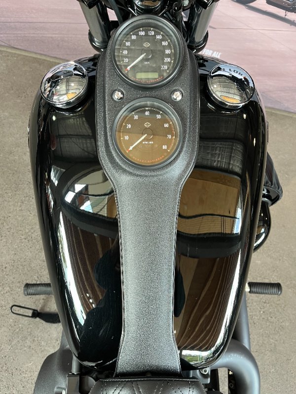 2017 Harley-davidson FXDLS LOW RIDER S Black