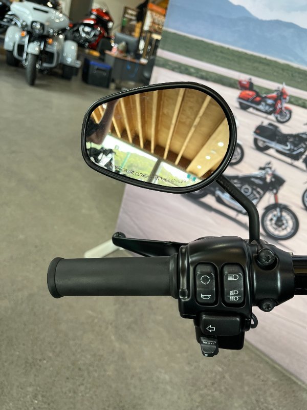 2017 Harley-davidson FXDLS LOW RIDER S Black